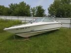 1989 Sea Ray Boat