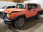 2013 Toyota FJ Cruiser