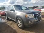 2010 Ford Escape Limited