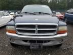 2003 Dodge Dakota Quad SLT