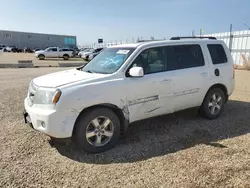 Honda Pilot salvage cars for sale: 2009 Honda Pilot EXL