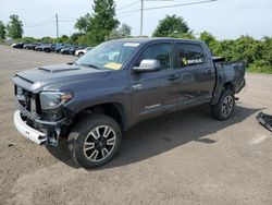 Toyota salvage cars for sale: 2020 Toyota Tundra Crewmax SR5