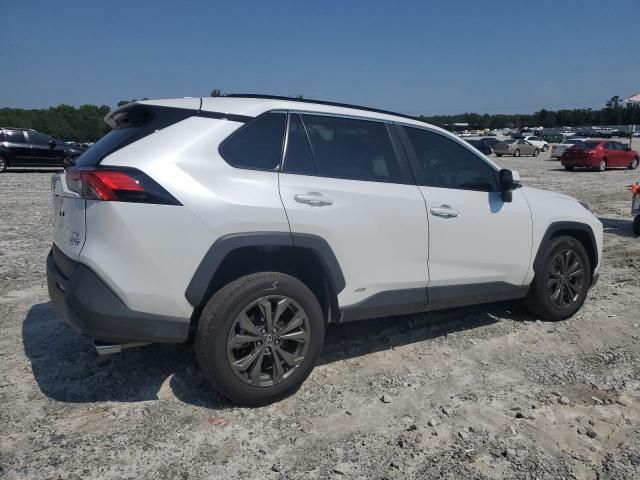 2023 Toyota Rav4 XLE Premium