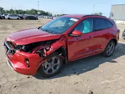 Clean Title Cars for sale at auction: 2024 Ford Escape ST Line Select