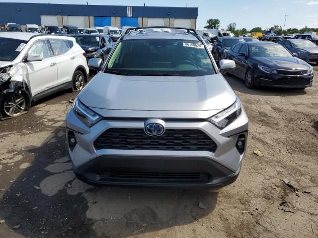 2023 Toyota Rav4 XLE Premium