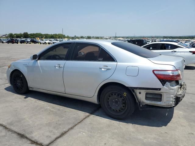 2009 Toyota Camry Hybrid