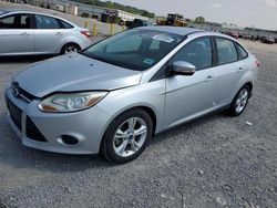 2014 Ford Focus SE en venta en Earlington, KY