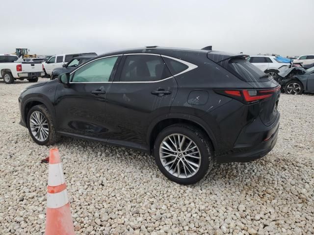 2023 Lexus NX 350