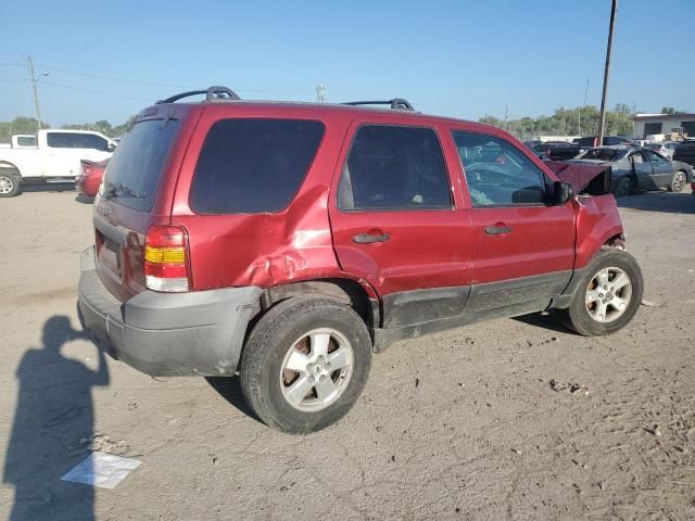 2005 Ford Escape XLT