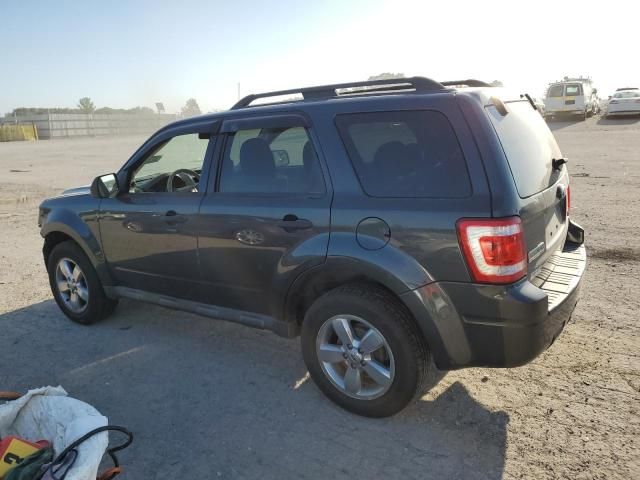 2009 Ford Escape XLT