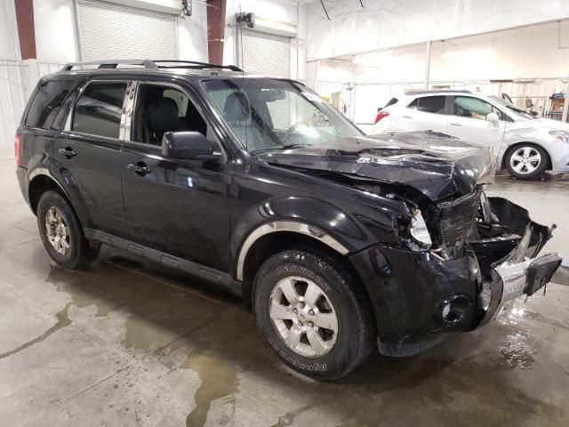 2010 Ford Escape Limited