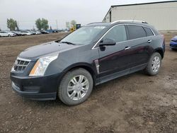 Vehiculos salvage en venta de Copart Rocky View County, AB: 2011 Cadillac SRX Luxury Collection