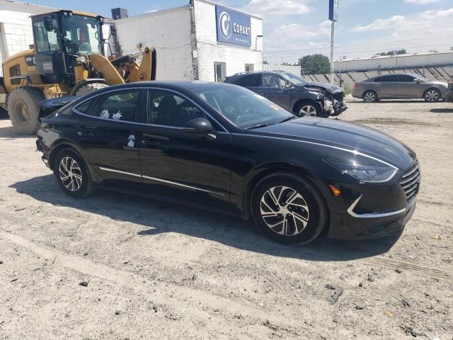 2020 Hyundai Sonata Hybrid