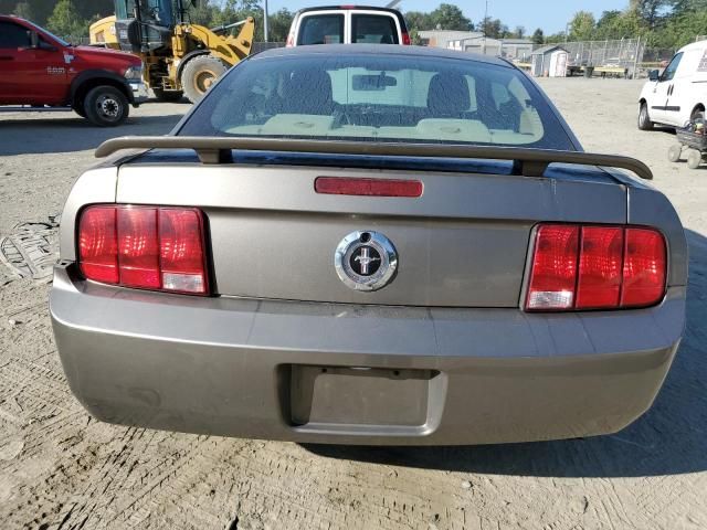 2005 Ford Mustang