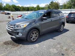 Salvage cars for sale at Grantville, PA auction: 2017 Ford Escape SE