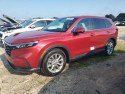 Salvage vehicles for parts for sale at auction: 2023 Honda CR-V EXL