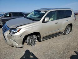 Lexus Vehiculos salvage en venta: 2015 Lexus GX 460 Premium