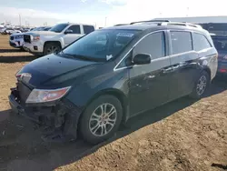 Salvage cars for sale at Brighton, CO auction: 2013 Honda Odyssey EXL