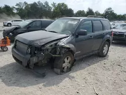 Salvage cars for sale at Madisonville, TN auction: 2008 Ford Escape XLT