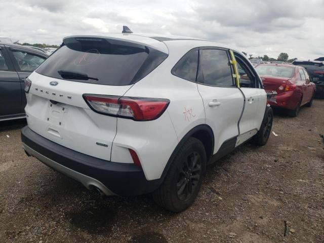 2020 Ford Escape SE Sport