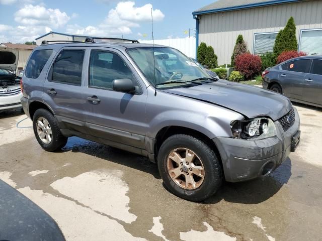 2007 Ford Escape XLT