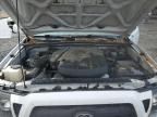 2006 Toyota Tacoma Prerunner Access Cab