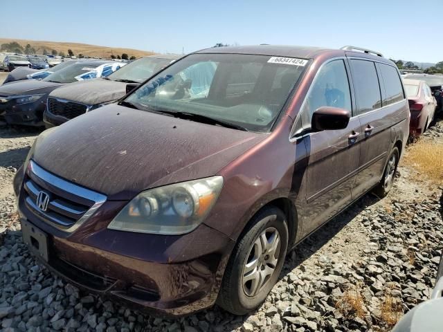 2007 Honda Odyssey EXL