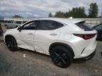 2024 Lexus NX 450H Luxury