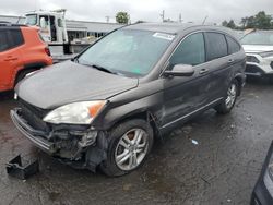 Salvage cars for sale at New Britain, CT auction: 2010 Honda CR-V EXL