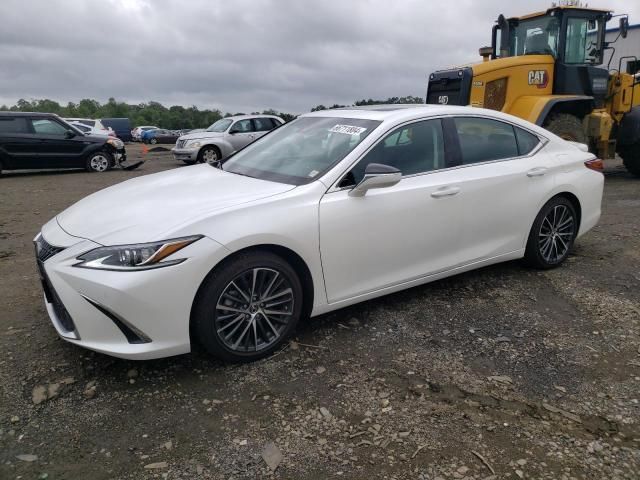 2023 Lexus ES 250 Base