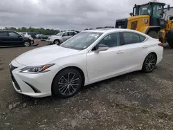 Flood-damaged cars for sale at auction: 2023 Lexus ES 250 Base