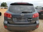 2009 Hyundai Santa FE SE