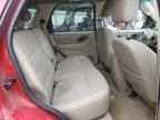 2005 Ford Escape XLT