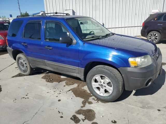 2005 Ford Escape XLT