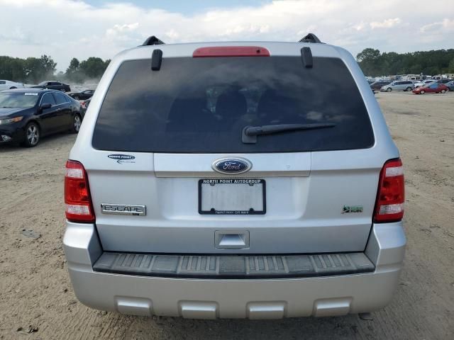 2010 Ford Escape XLT