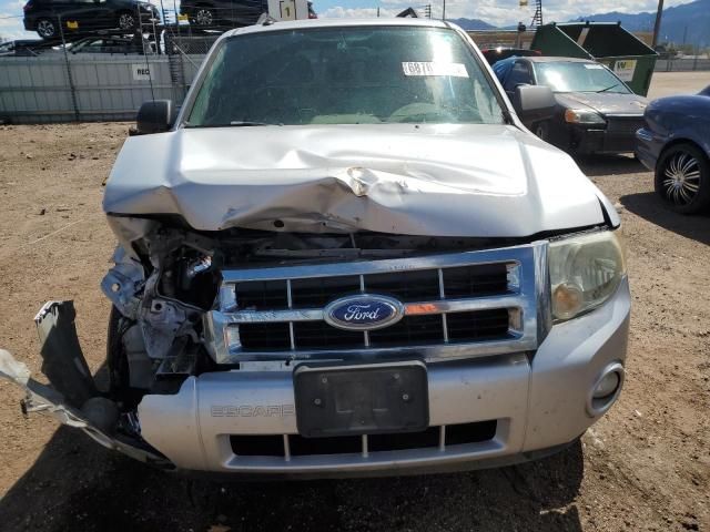 2011 Ford Escape XLT