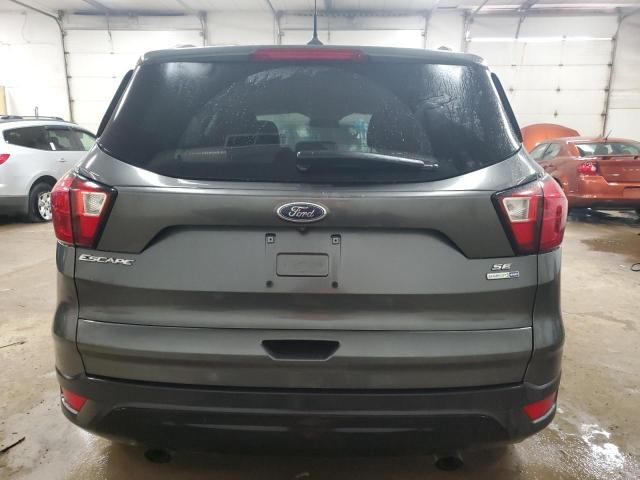 2019 Ford Escape SE