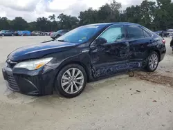 Hybrid Vehicles for sale at auction: 2016 Toyota Camry Hybrid