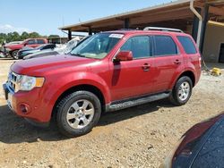 Carros con título limpio a la venta en subasta: 2011 Ford Escape Limited