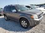 2010 Ford Escape Limited