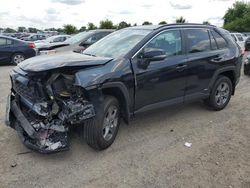 Toyota salvage cars for sale: 2024 Toyota Rav4 XLE