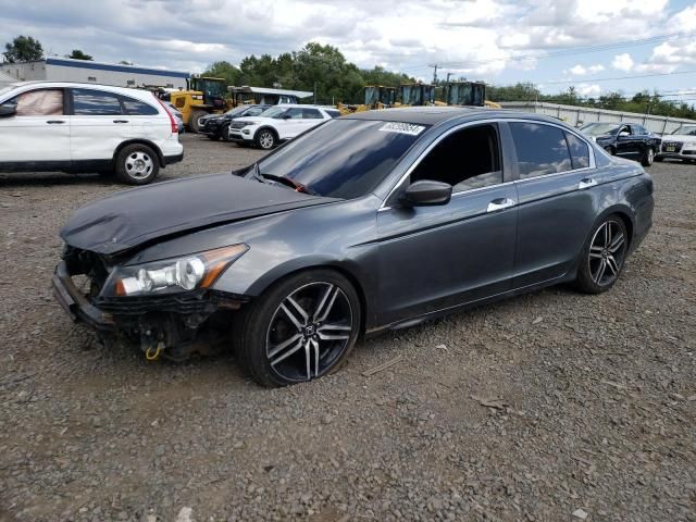 2011 Honda Accord EXL