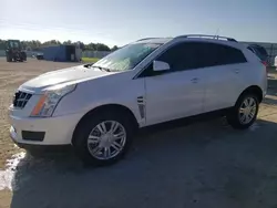 Cadillac srx Luxury Collection salvage cars for sale: 2010 Cadillac SRX Luxury Collection