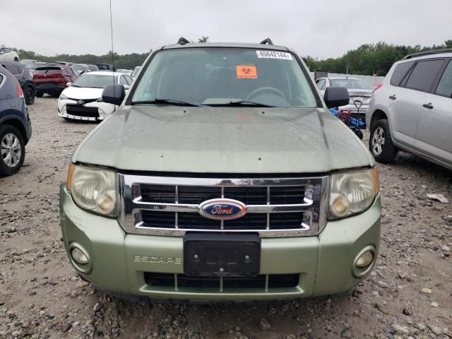 2008 Ford Escape XLT