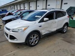 Salvage cars for sale at Louisville, KY auction: 2014 Ford Escape Titanium