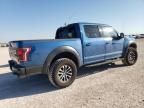 2019 Ford F150 Raptor