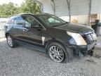 2013 Cadillac SRX Premium Collection