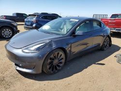 Salvage cars for sale at Brighton, CO auction: 2023 Tesla Model 3