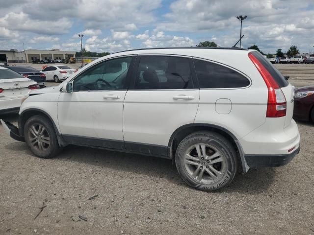 2010 Honda CR-V EXL