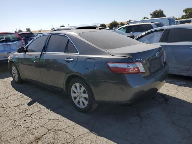 2008 Toyota Camry Hybrid